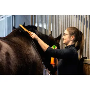 Entfilzungsspray für Pferde Equinatura Equinatura image-2