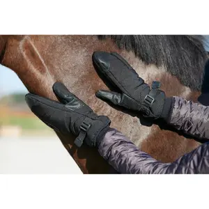 Dameswanten Equipage Lucinda image-1