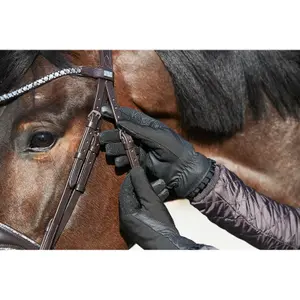 Dameshandschoenen Equipage Lucy image-1