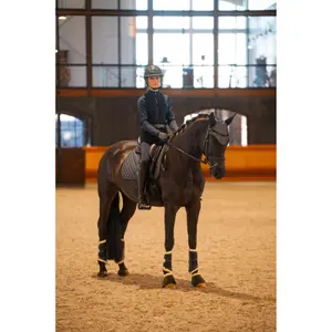 Reithelm Equipage Mips Guandian image-2