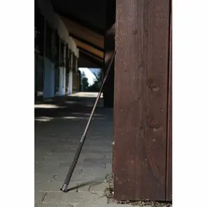 Ridpiska Equipage image-0