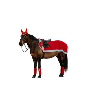 Coprireni per cavalli Equithème Xmas image-0