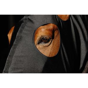 Tapete de lã para cavalos Equithème 0g image-3