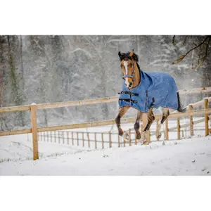 Manta de exterior para caballos Equithème Tyrex-AIsance High Neck 1200D 150g image-2