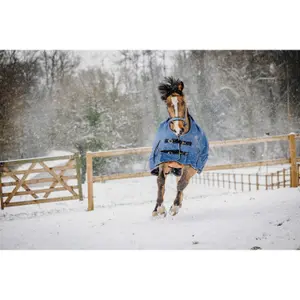 Manta de exterior para caballos Equithème Tyrex-AIsance High Neck 1200D 150g image-3