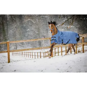 Manta de exterior para caballos Equithème Tyrex-AIsance High Neck 1200D 300g image-1