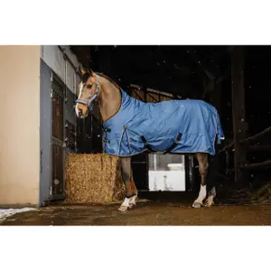 Manta de exterior para caballos Equithème Tyrex-AIsance High Neck 1200D 300g image-2