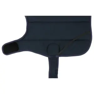 Κάλυμμα για σκύλο Equithème Confortec image-0