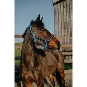Halster voor paarden Equithème Strass image-1