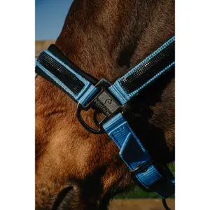 Halster voor paarden Equithème Strass image-3