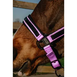Halster voor paarden Equithème Strass image-2