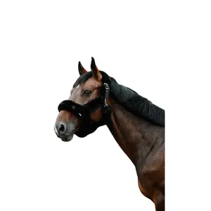 Καπίστρι για άλογο Equithème JTM image-1