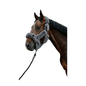 Καπίστρι για άλογο Equithème JTM image-1