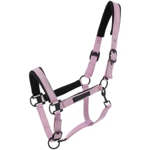 Halter for horse Equithème Pearl image-0