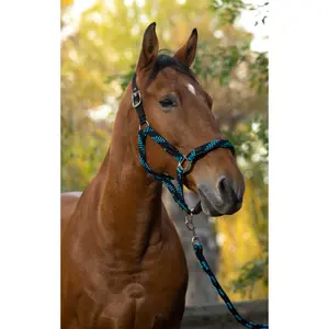 Σύστημα halter και σκοινί για πλέκτο άλογο Equithème image-1