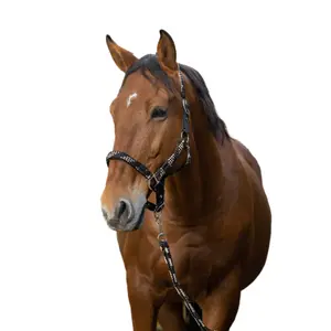 Σύστημα halter και σκοινί για πλέκτο άλογο Equithème image-0