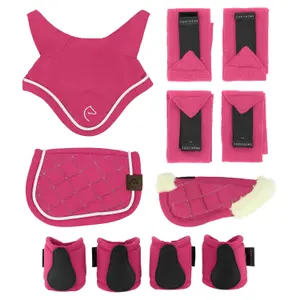 Miini Accessory Set Equithème Pony Academy image-0