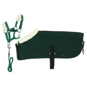 Headcollar and lead rope set + blanket Equithème
