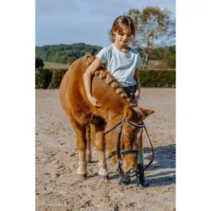 Παιδικό μπλουζάκι Equithème Je t'aime -Bonnie image-5