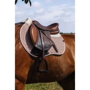 Sottosella Equithème Dinard FS image-2