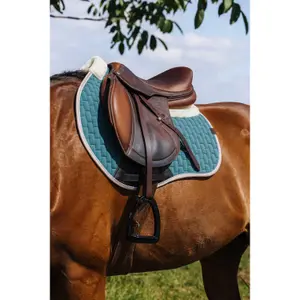 Sottosella Equithème Dinard FS image-2