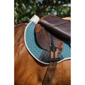 Sottosella Equithème Dinard FS image-4