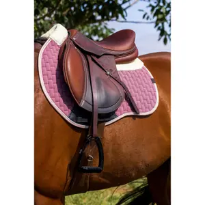 Sottosella Equithème Dinard FS image-2