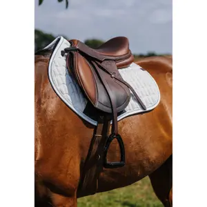 Sottosella Equithème Eclat FS image-2