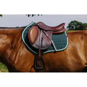 Sottosella Equithème Eclat PS image-1