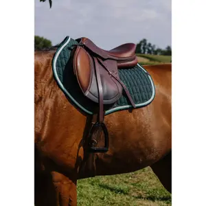 Sottosella Equithème Eclat PS image-2