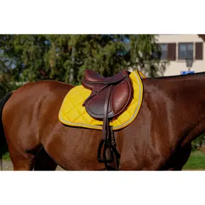 Saddle pad for horses Equithème Classic image-1