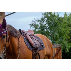 Almofada de sela para cavalos Equithème Domino image-3