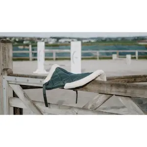 Αμορτισέρ για άλογο Equithème Pro Air image-1