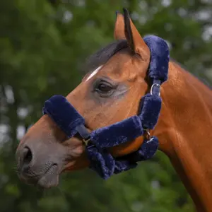 Σακίδιο για άλογο Equithème Teddy image-1