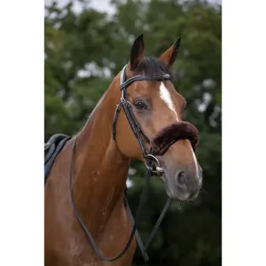 Noseband scabbard for horse Equithème Teddy image-1