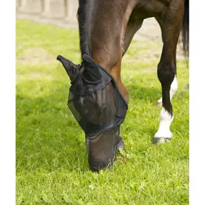 Fijnmazig Anti-Vliegenmasker voor paarden Equithème image-1