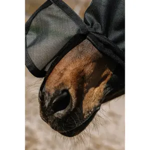 Anti-fly Mask Equithème Protec image-2