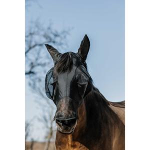 product/e/q/equitheme_306033201_noir_2.jpg