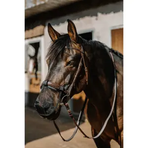 Nose guard for horses Equithème Anti UV image-1