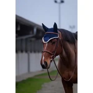 Καπέλο για άλογο Equithème Denim image-0