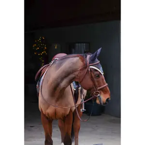 Καπέλο για άλογο Equithème Denim image-1