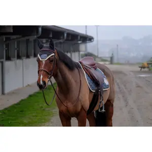Καπέλο για άλογο Equithème Denim image-0