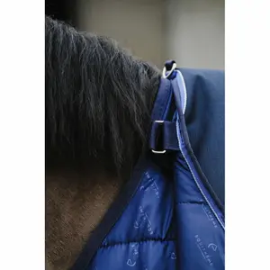 Disfarçado para cavalos Equithème Classic 200 g image-1