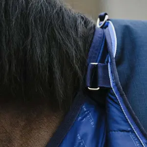 Couverture d'extérieur pour cheval Equithème Classic 1200D 100 g image-1