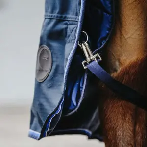 Couverture d'extérieur pour cheval Equithème Classic 1200D 100 g image-3