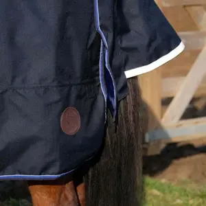 Couverture d'extérieur pour cheval Equithème Classic 1200D 100 g image-4