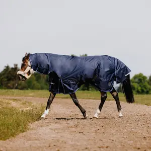 Couverture d'extérieur pour cheval Equithème Classic 1200D Combo 300g image-0