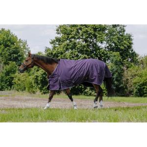 product/e/q/equitheme_400562159_prune_1.jpg