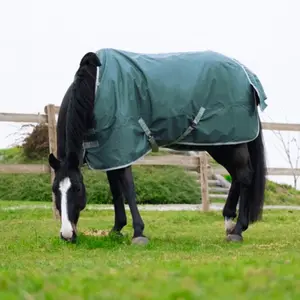 Outdoor horse blanket Equithème Tyrex 600 D 50g