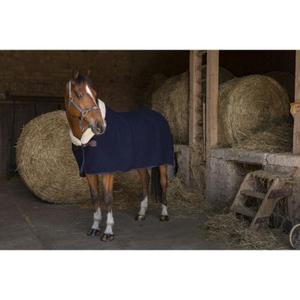 4008117-polaire-pour-cheval-en-laine-equitheme-teddy-marine